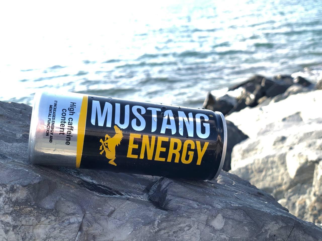 MUSTANG ENERGY