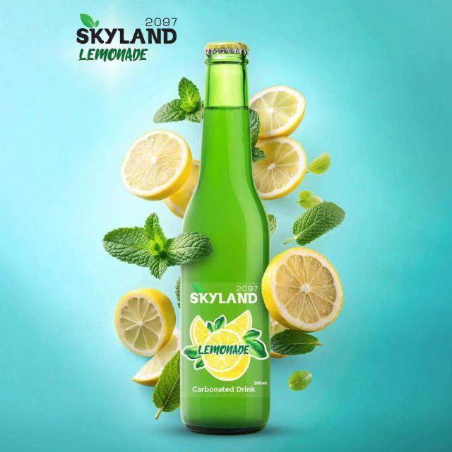 SKYLAND бренд