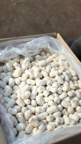 "Кашкадарёда" и