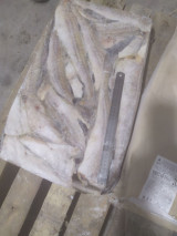 Продаю оптом за