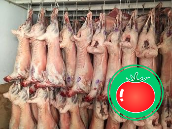 Ҳурматли тадбир