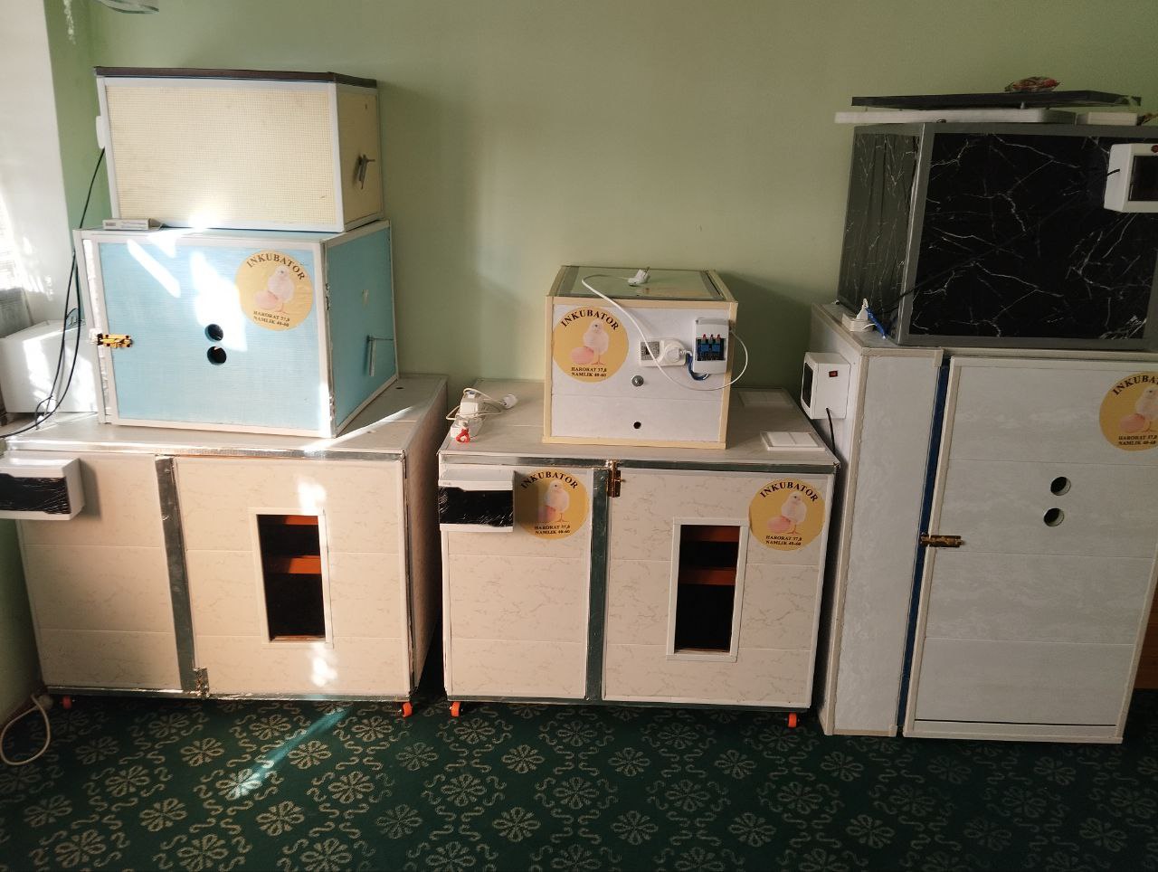 Инкваторлар 100