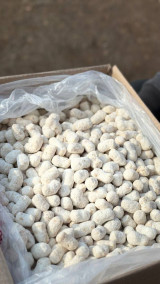 Тўғридан-тўғри 