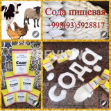 Озуқа содаси (n