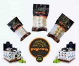 “Reyxan” qurtla