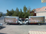 "Chippolino chi